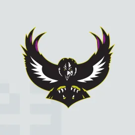 Baltimore ravens 2